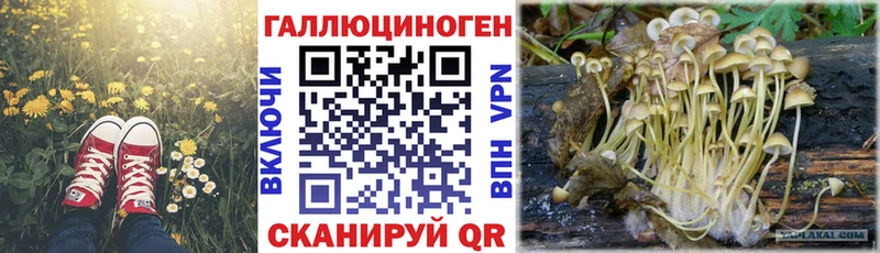 Галлюциногенные грибы ЛСД  где продают наркотики  Александровское 